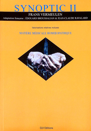 5.6 Synoptic II - Frans Vermeulen